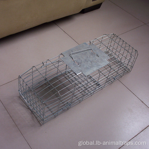 Animal Cage Traps One-Door Small Animal Pest Control Rodents Catch Manufactory